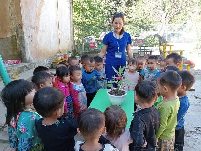 HOẠT ĐỘNG CHƠI NGOÀI TRỜI TRẺ MẦM NON